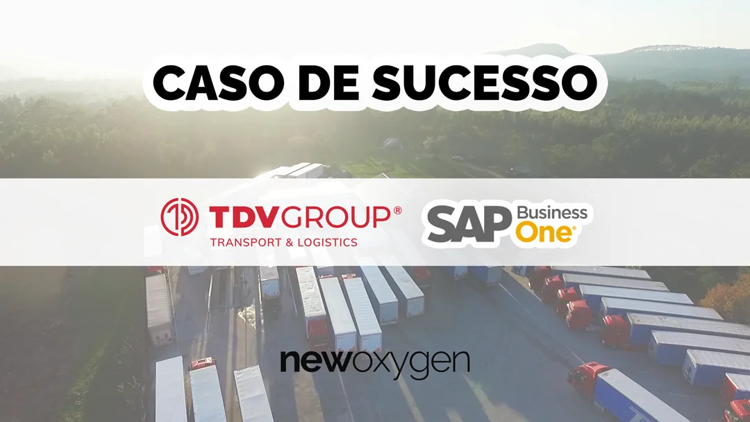 TDV Group caso de sucesso sap business one