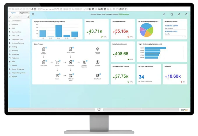 Dashboards SAP Business One